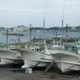 20090503_202